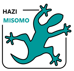 ASSOCIATION GROUPEMENT D'EMPLOYEURS MULTISECTORIEL HAZI MISOMO